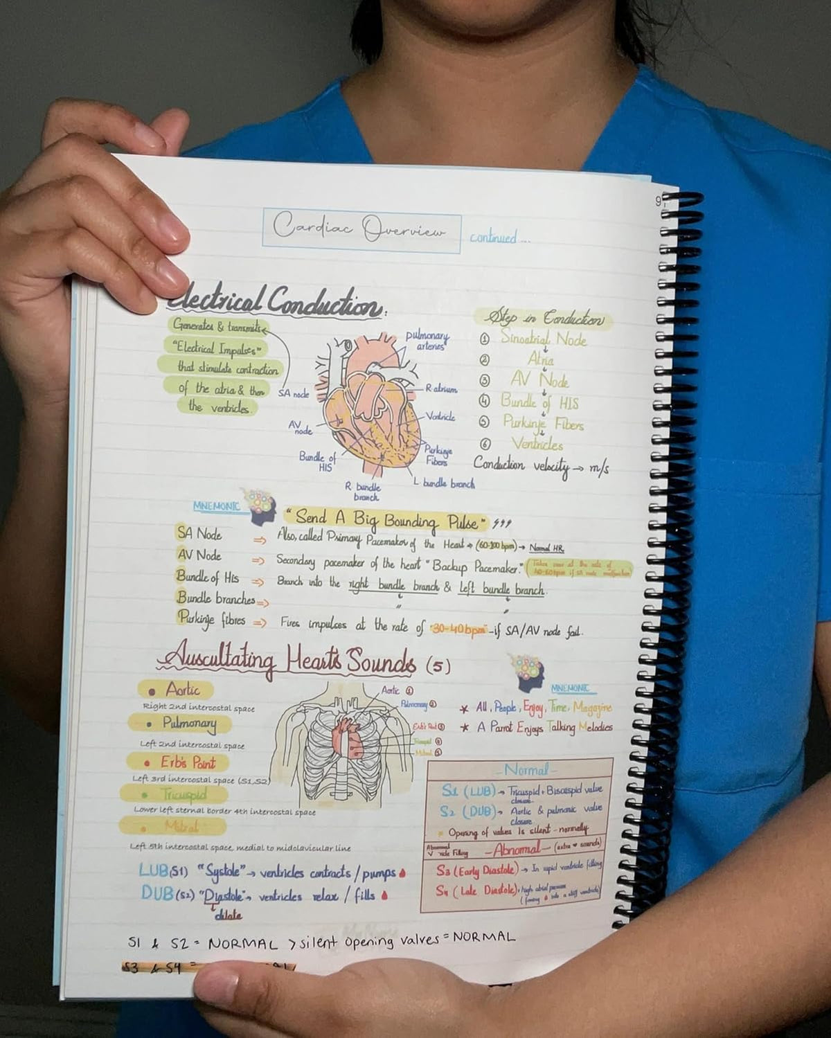 Nursing Success Bundle: 400+ Page Handwritten Notes, Designed to Ace Nursing School, Concise & Comprehensive