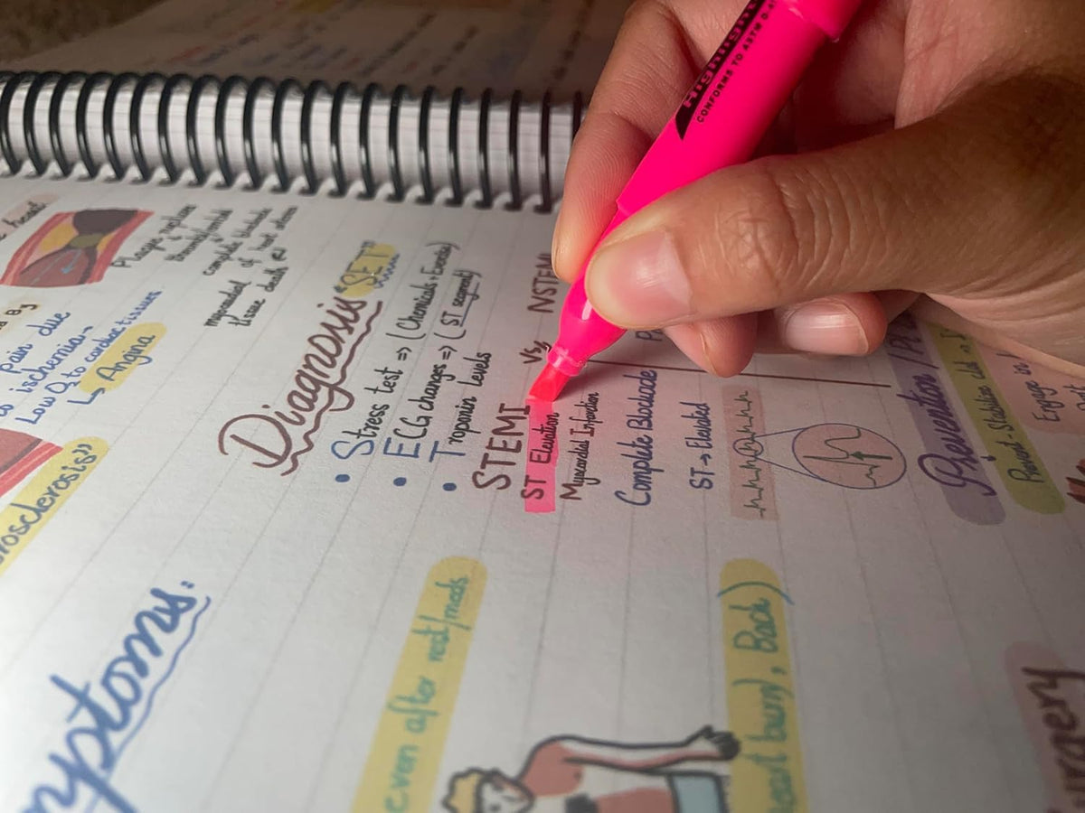 Nursing Success Bundle: 400+ Page Handwritten Notes, Designed to Ace Nursing School, Concise & Comprehensive