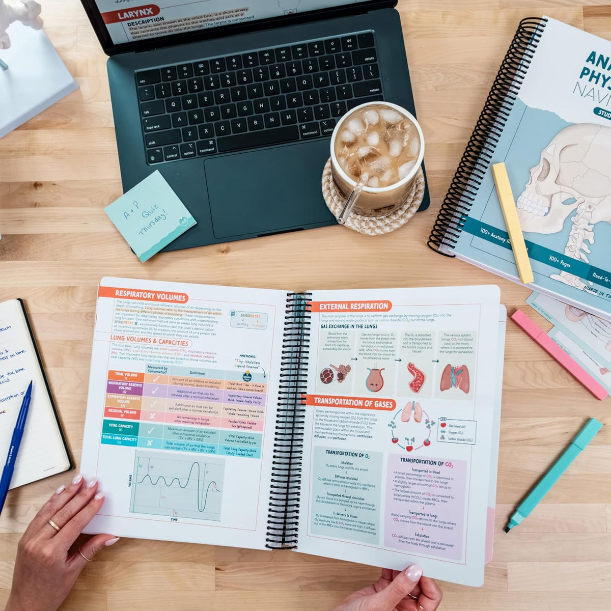 Anatomy & Physiology Navigator